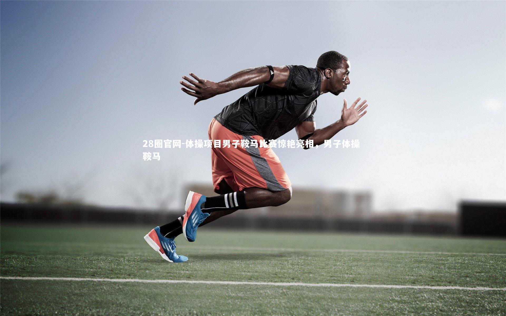 体操项目男子鞍马比赛惊艳亮相，男子体操 鞍马